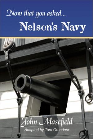 bigCover of the book Now That You Asked: Nelson's Navy by 