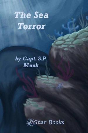 Book cover of The Sea Terror