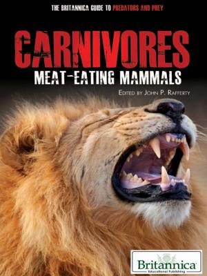 Cover of the book Carnivores by Barbra Penne