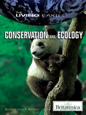 Cover of the book Conservation and Ecology by Michael Anderson
