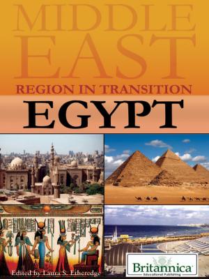 Cover of the book Egypt by Robert Curley