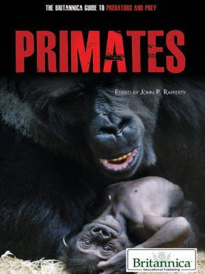 Cover of the book Primates by Kathleen Kuiper