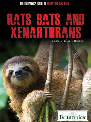 Cover of the book Rats, Bats, and Xenarthrans by Bethany Bryan