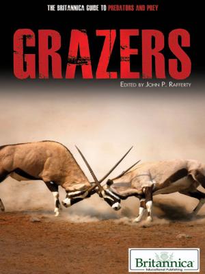 Cover of the book Grazers by Robert Curley
