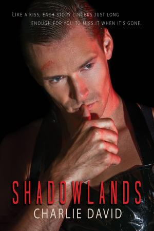 Cover of the book Shadowlands by M.J. O'Shea