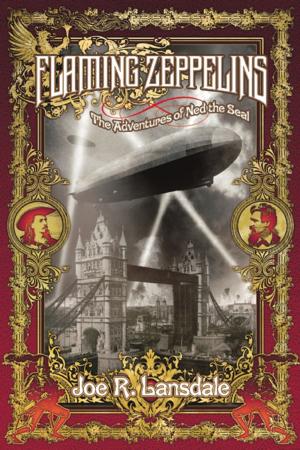 Cover of the book Flaming Zeppelins by Richard Kadrey, Garth Nix, Gene Wolfe, Margo Lanagan, Laird Barron, Caitl?n Kiernan