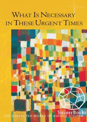 Cover of the book What is Necessary in These Urgent Times by Rudolf Steiner, Christopher Bamford