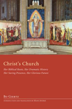 Cover of the book Christ’s Church by Allan Aubrey Boesak
