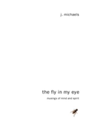 Cover of the book The Fly in My Eye by Dominique de Saint Pern
