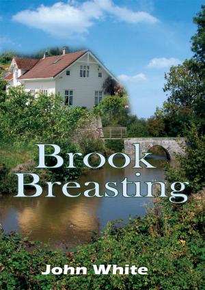 Cover of the book Brook Breasting by Derek Rosser