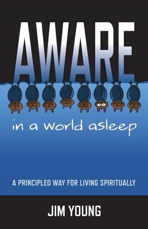 Cover of the book Aware In A World Asleep: A Principled Wa by Daniela Cascella