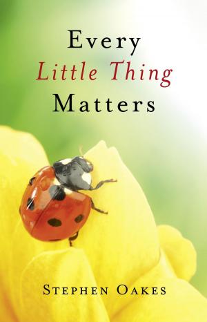 Book cover of Every Little Thing Matters