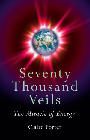 Cover of the book Seventy Thousand Veils: The Miracle Of by Morgan Daimler