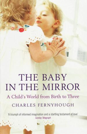 Book cover of The Baby In The Mirror