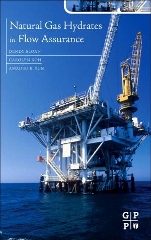 Cover of the book Natural Gas Hydrates in Flow Assurance by Deviant Ollam