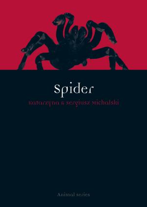 Cover of the book Spider by Allen S. Weiss