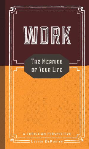 Cover of the book Work: The Meaning of Your Life - A Christian Perspective by John Bolt