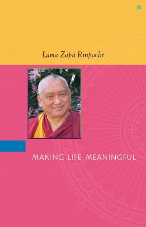 Cover of the book Making Life Meaningful by Darren Littlejohn