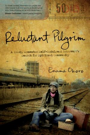 Cover of the book Reluctant Pilgrim by Tim Riordan