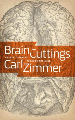 Book cover of Brain Cuttings