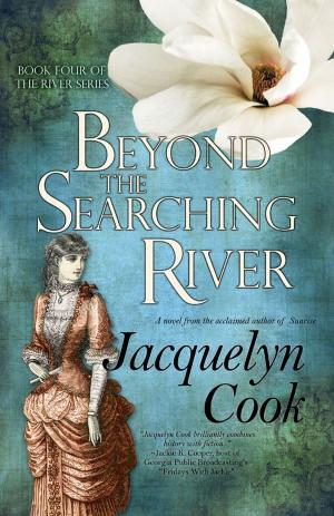 Cover of the book Beyond the Searching River by Sparkle Abbey
