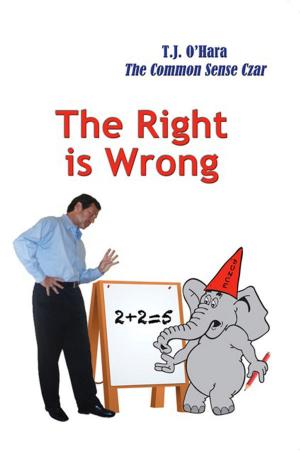 Cover of the book The Right is Wrong by Dominik Ruder