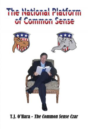Cover of the book The National Platform of Common Sense by Paul Chapman