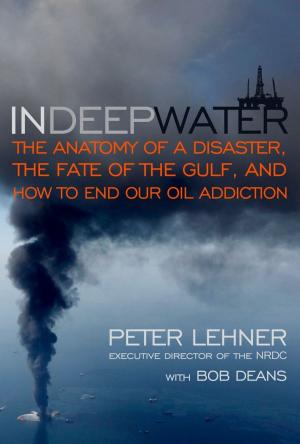 Cover of the book In Deep Water by Norman G. Finkelstein