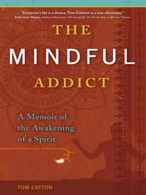 Cover of the book The Mindful Addict by Tim Elhajj