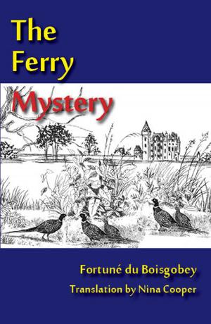 bigCover of the book The Ferry Mystery by 