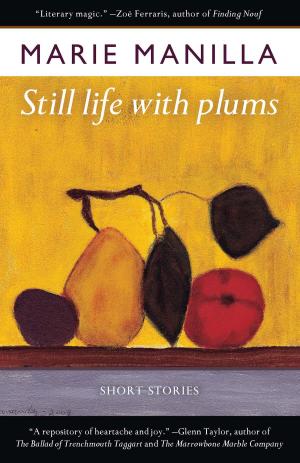 Book cover of Still Life with Plums