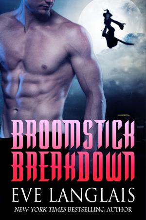 Cover of the book Broomstick Breakdown by Eve Langlais
