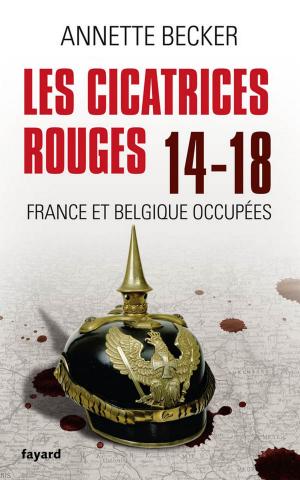 Cover of the book Les cicatrices rouges by Gaspard-Marie Janvier