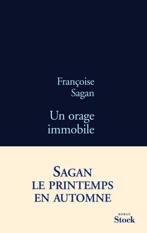Cover of the book Un orage immobile by Philippe Routier