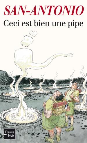 Cover of the book Ceci est bien une pipe by Sébastien GENDRON