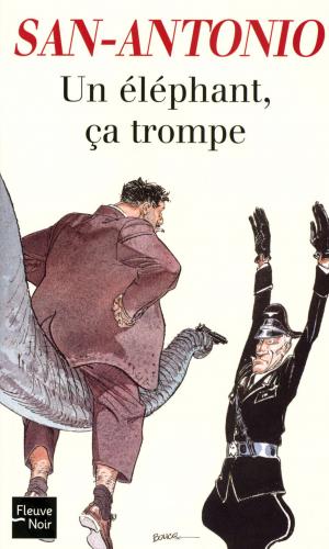 Cover of the book Un éléphant, ça trompe by Franck THILLIEZ
