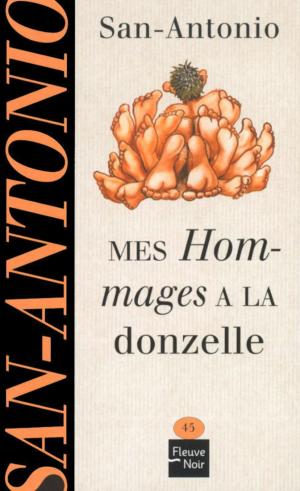 Cover of the book Mes hommages à la donzelle by Bénédicte LOMBARDO, Anne MCCAFFREY