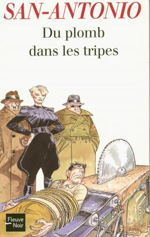 Cover of the book Du plomb dans les tripes by Bénédicte LOMBARDO, Anne MCCAFFREY