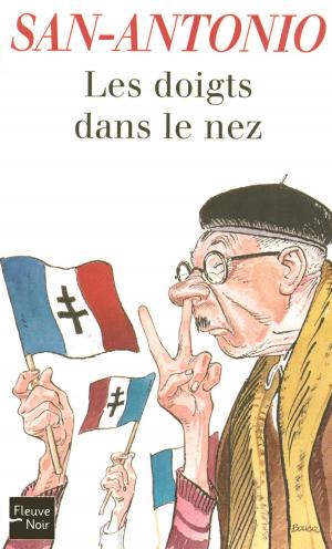 Cover of the book Les doigts dans le nez by David LELAIT-HELO