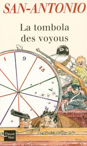 Cover of the book La tombola des voyous by Diane DUCRET