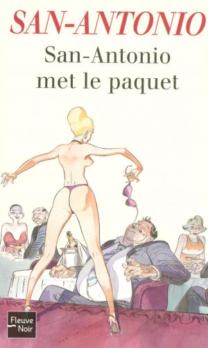 bigCover of the book San-Antonio met le paquet by 