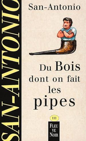 Cover of the book Du bois dont on fait les pipes by Remo Salta