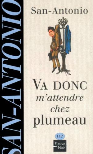 Cover of the book Va donc m'attendre chez plumeau by Nicolas REMIN