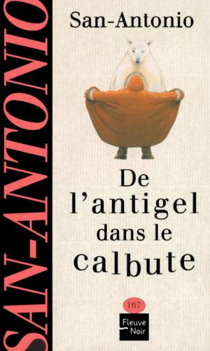 Cover of the book De l'antigel dans le calbute by Harlan COBEN