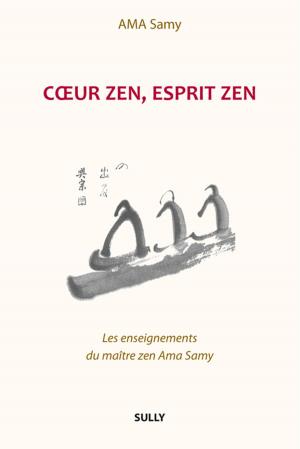 Book cover of Coeur zen, esprit zen