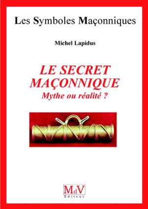 Book cover of N.40 Le secret maçonnique