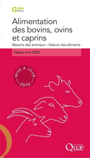 Cover of the book Alimentation des bovins, ovins et caprins. Besoins des animaux - Valeurs des aliments by Pierre Detienne