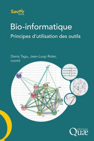 Cover of the book Bio-informatique by Charles Baldy, Cornelius J. Stigter