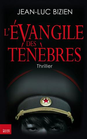 Cover of the book L'évangile des ténèbres by Anna Jansson