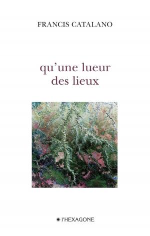 Cover of the book Qu'une lueur des lieux by François Charron